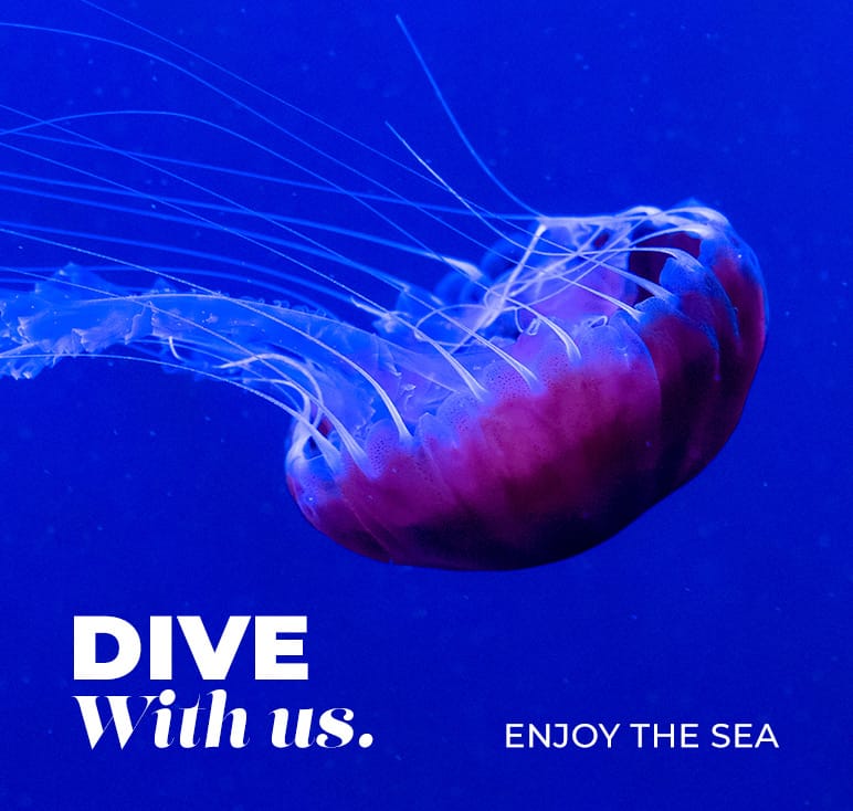dive with us.jpg